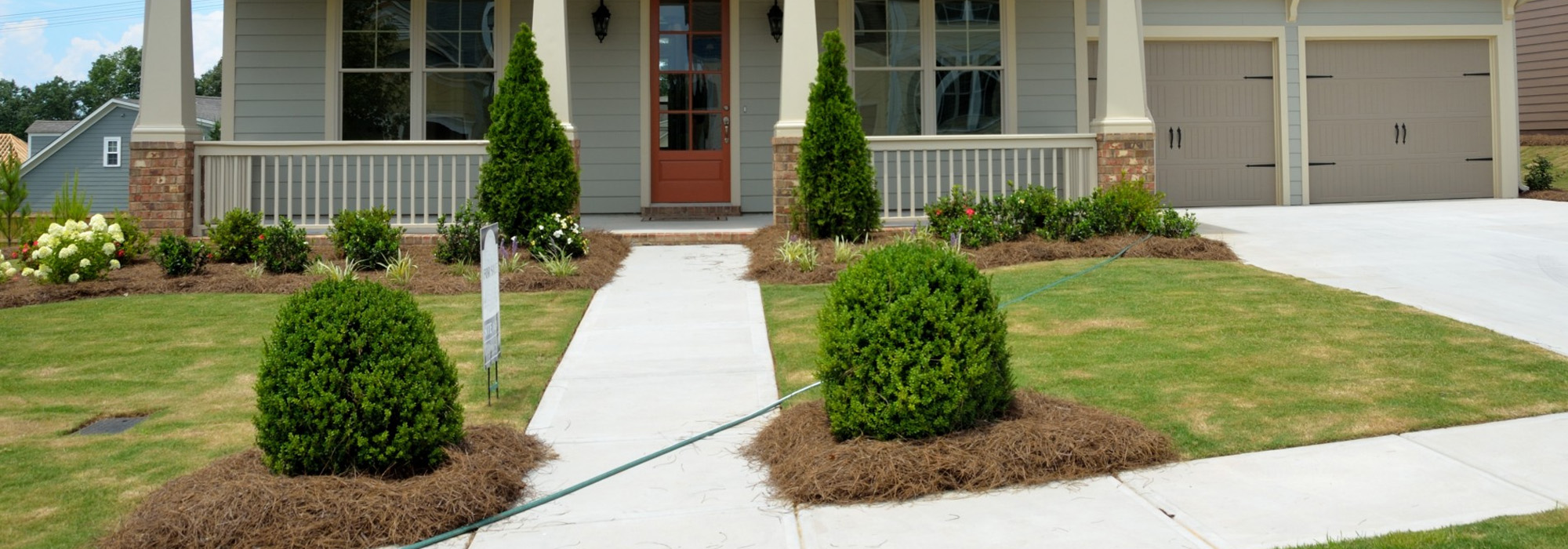 Professional Mosquito, Flea, & Tick Control Services in North Carolina