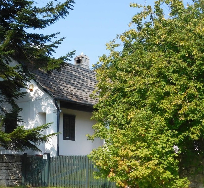 Complete Tree & Plant Care Services