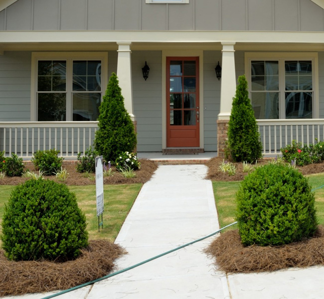 Complete Shrub Trimming & Brush Clearing Services
