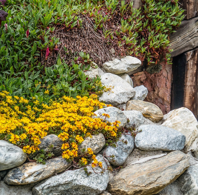 Complete Mulch & Rock Installation Services