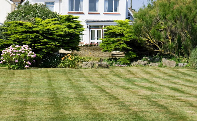 Complete Landscape Design & Installation Services