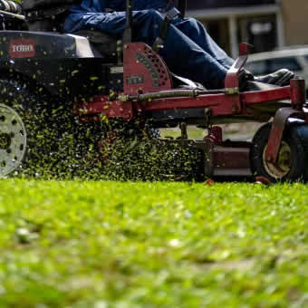 Landscape Design and Planting