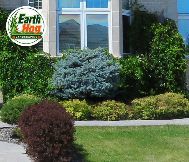 North Carolina Professional Landscape Design & Installation