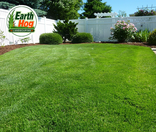 North Carolina Professional Lawn Aeration & Seeding