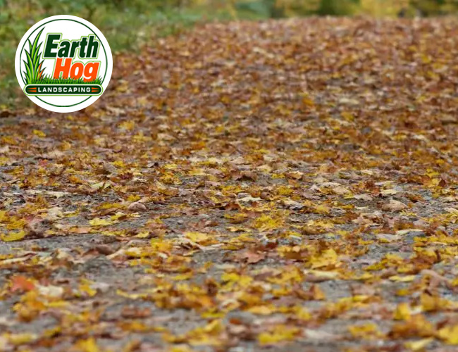 North Carolina Professional Seasonal Yard Cleanup