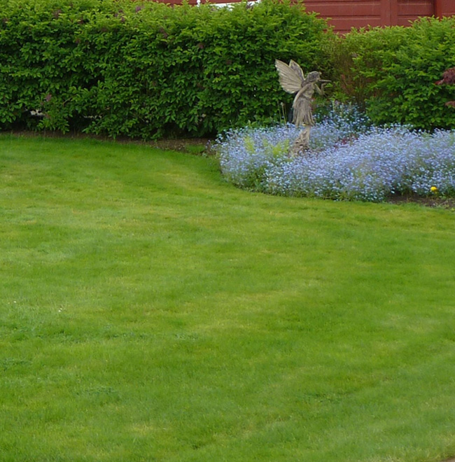 Complete Fertilization and Weed Control Services