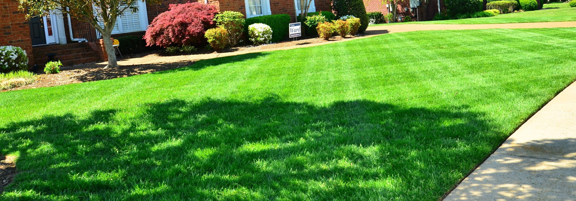 Professional Lawn Aeration & Seeding Services in North Carolina