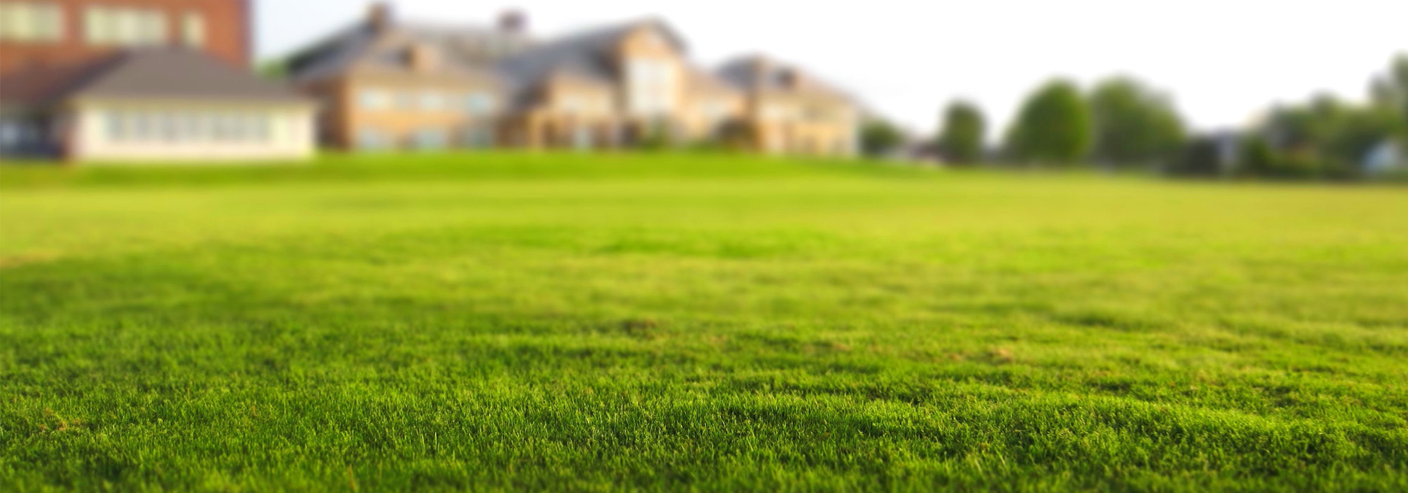 Professional Lawn Maintenance Services in North Carolina