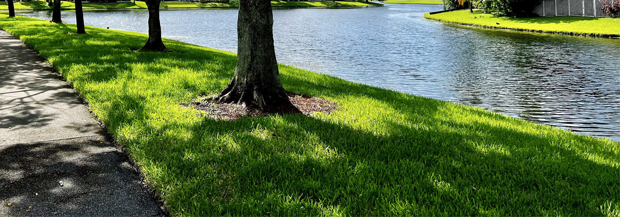 Professional Mosquito, Flea, & Tick Control Services in North Carolina