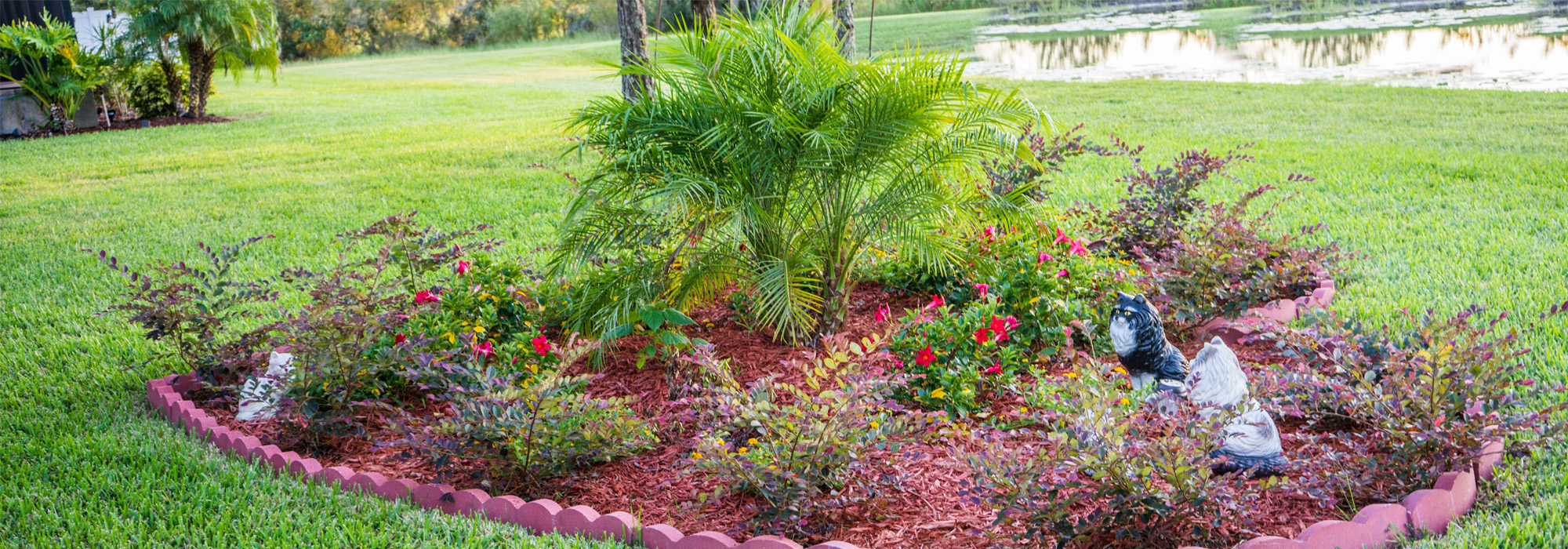 Professional Pest Control Services in North Carolina