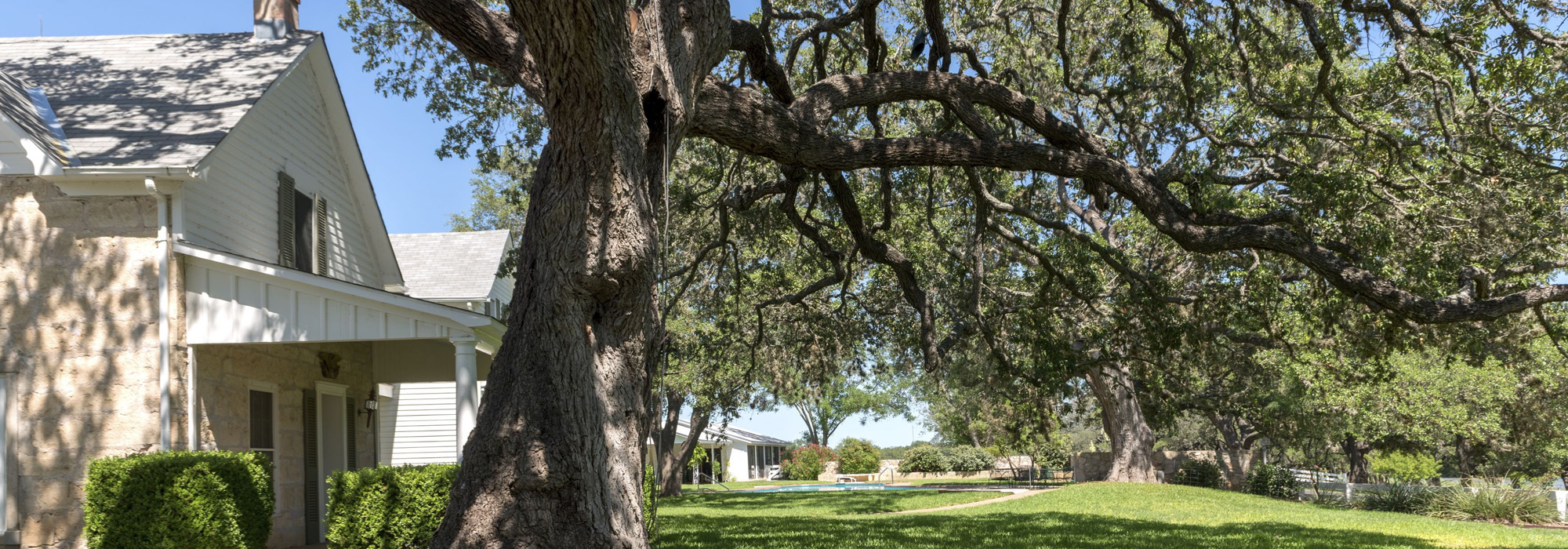 Professional Tree & Plant Care Services in North Carolina