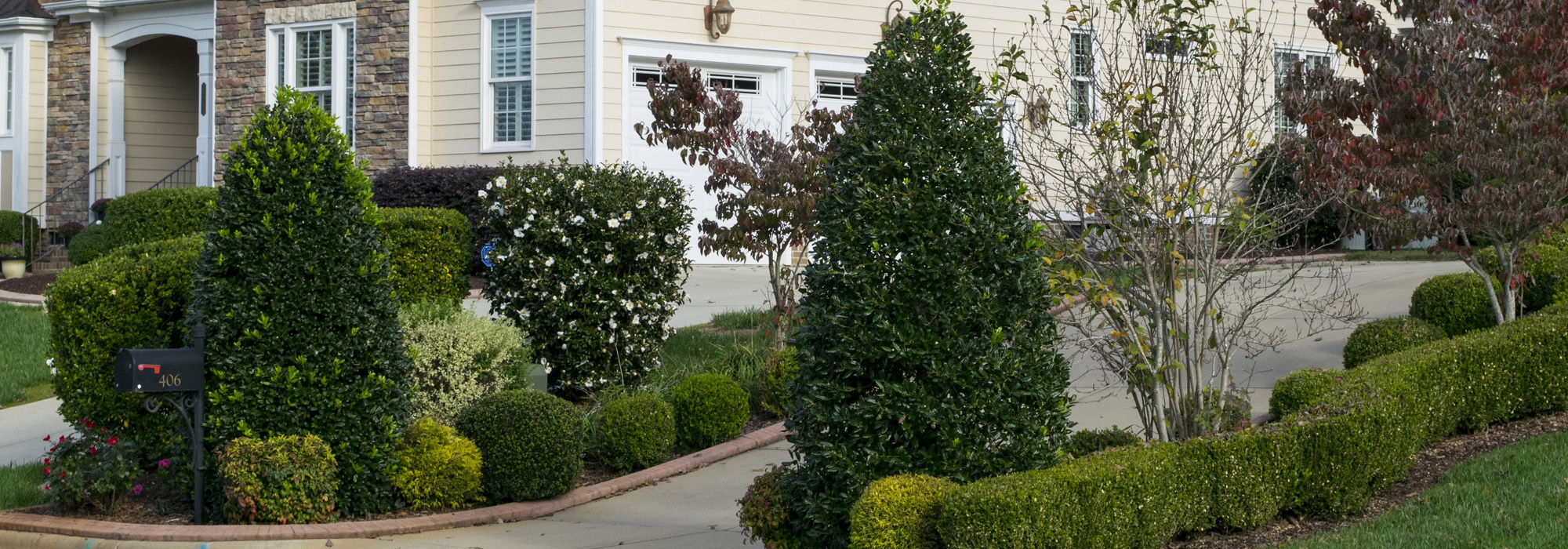 Professional Tree Trimming & Pruning Services in North Carolina