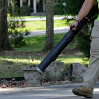 Shrub Pruning Trimming Services