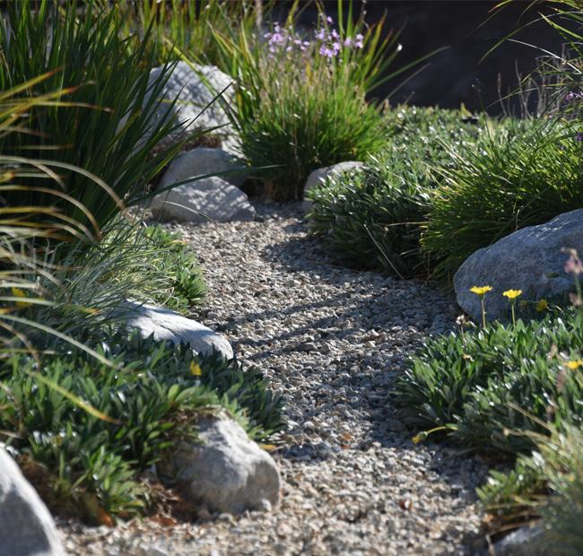 Complete Drainage Solutions Services