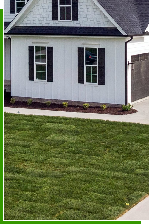 Why Choose Earth Hog Landscaping in Waxhaw, North Carolina